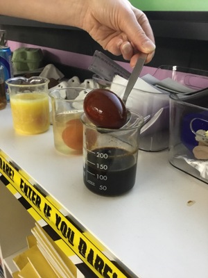 Our 'Eggs'periment