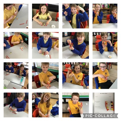 Science week in Sycamore class Science week in Sycamore class