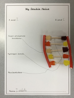 Science week in Sycamore class Science week in Sycamore class