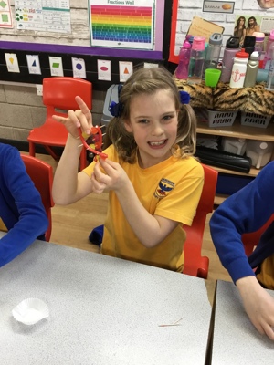 Science week in Sycamore class Science week in Sycamore class