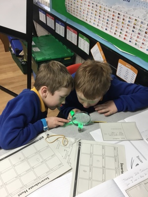Sycamore class' invertebrate search! Sycamore class' invertebrate search!