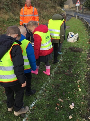 Bulb Planting Bulb Planting