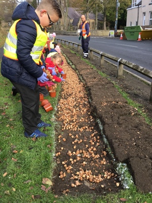 Bulb Planting Bulb Planting