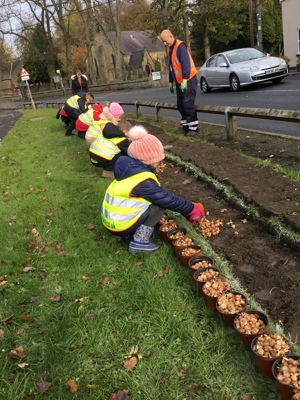 Bulb Planting Bulb Planting