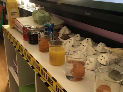Our 'Eggs'periment
