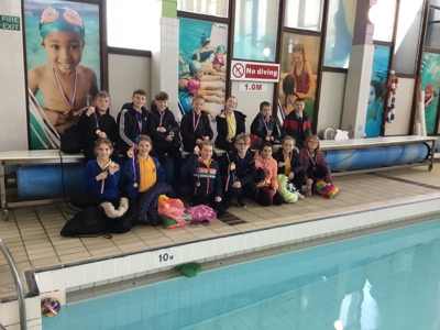 SWIMMING SUPER STARS
