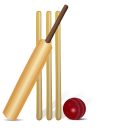 Cricket